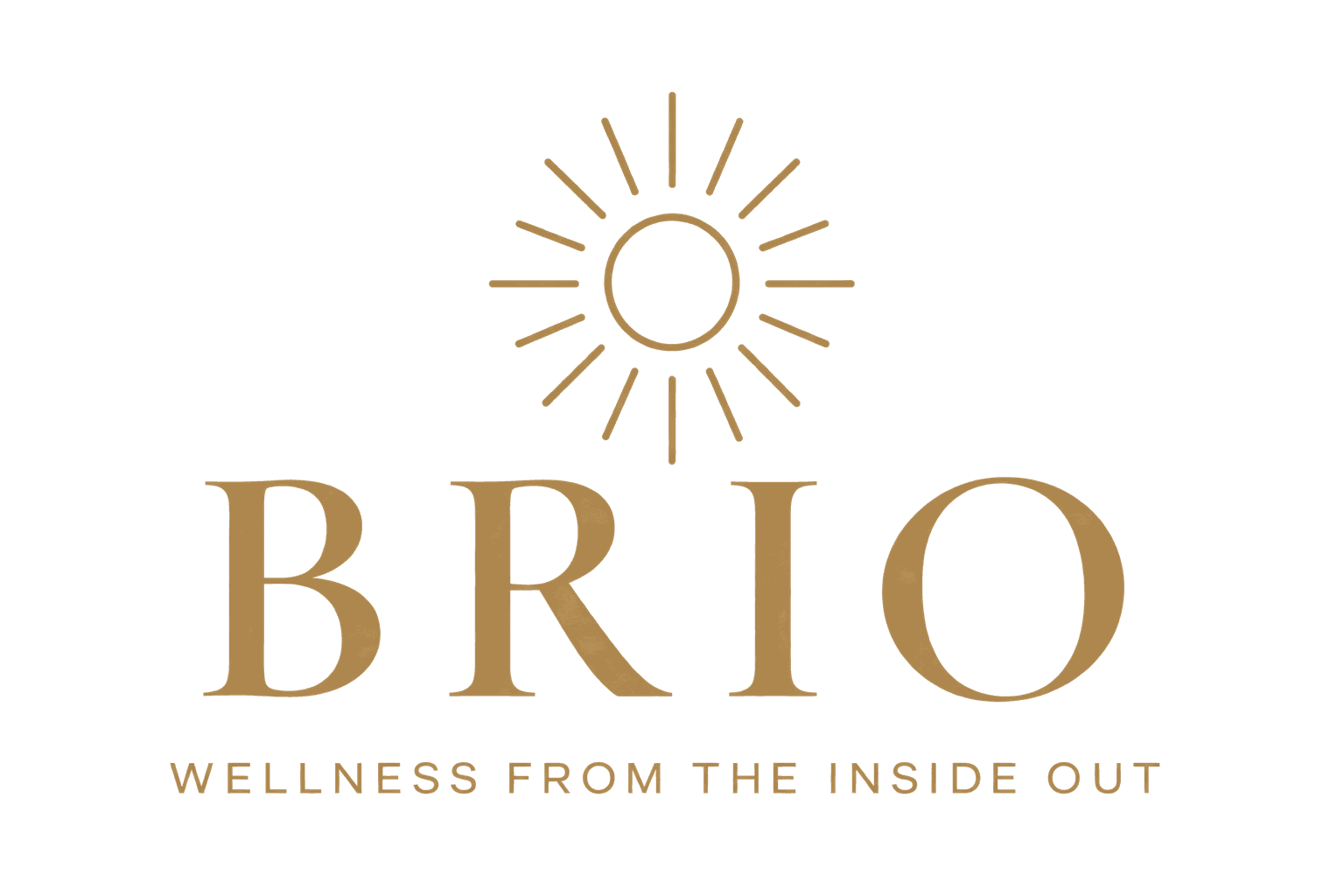 Brio Recovery Studio & Market
