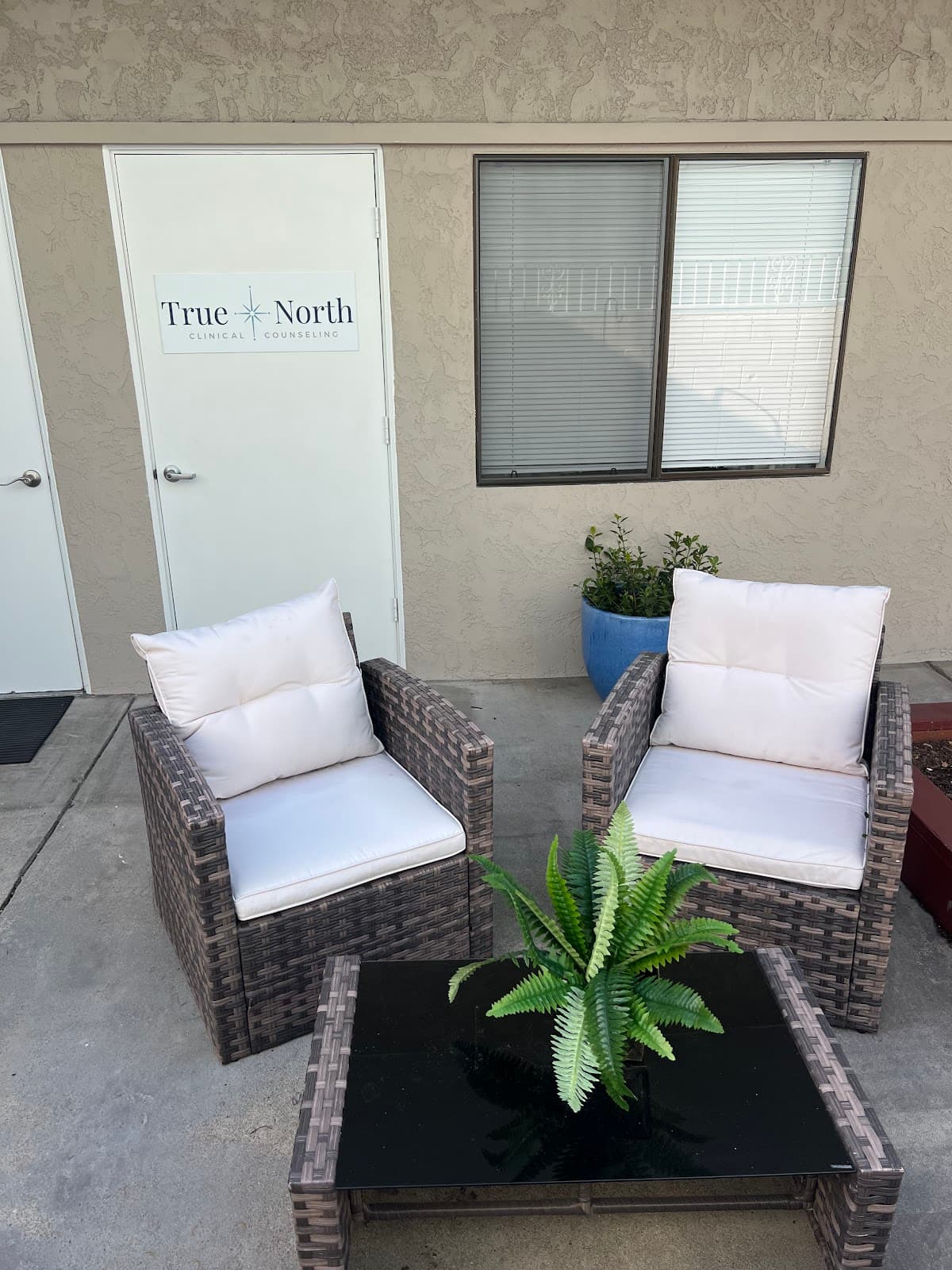 True North Clinical Counseling
