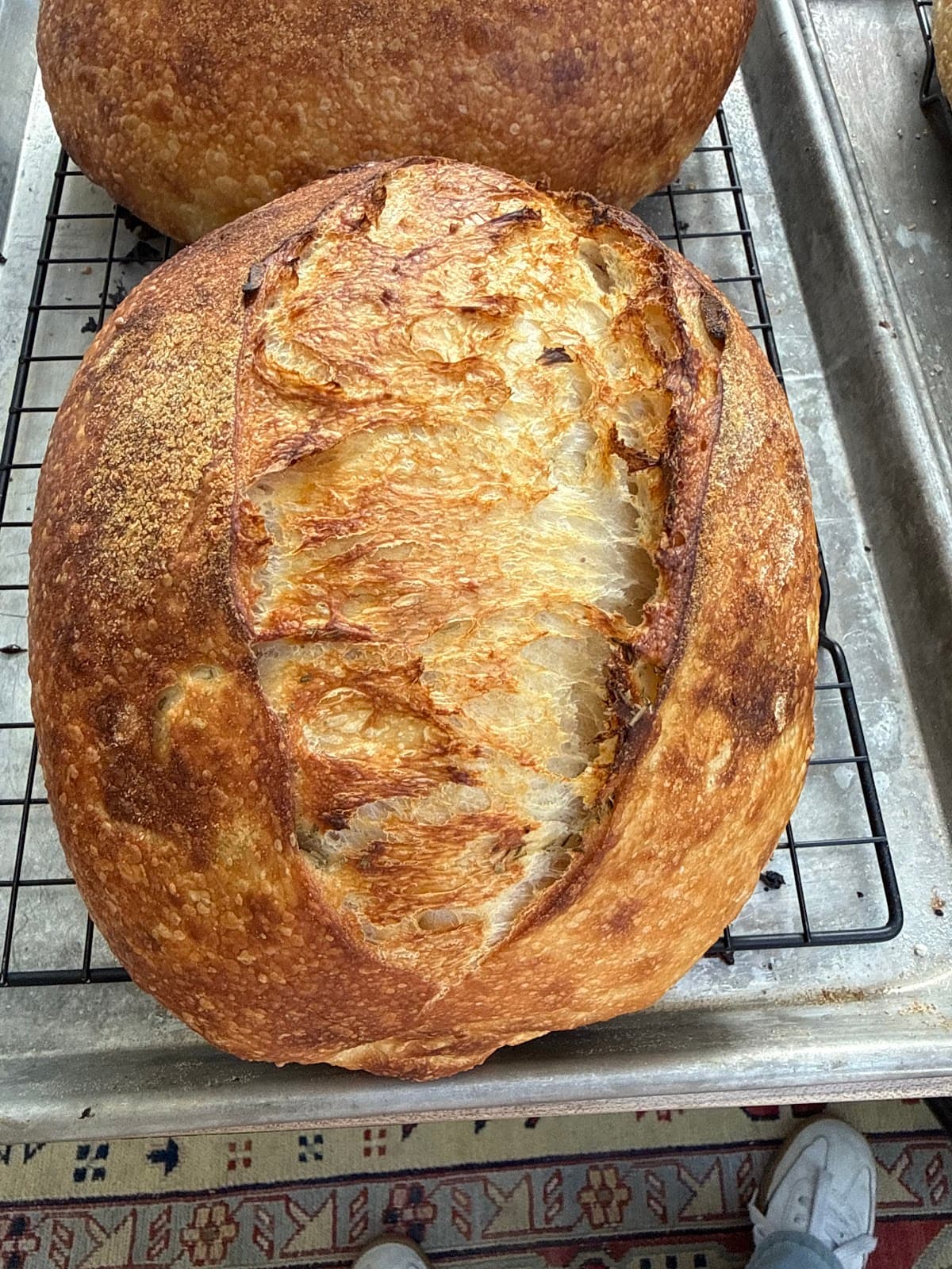 Bee's Bread Co.
